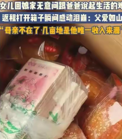 看哭了！河南新乡，女儿回娘家无意间跟爸爸说起生活困难，返程打开面包箱子，发现爸爸