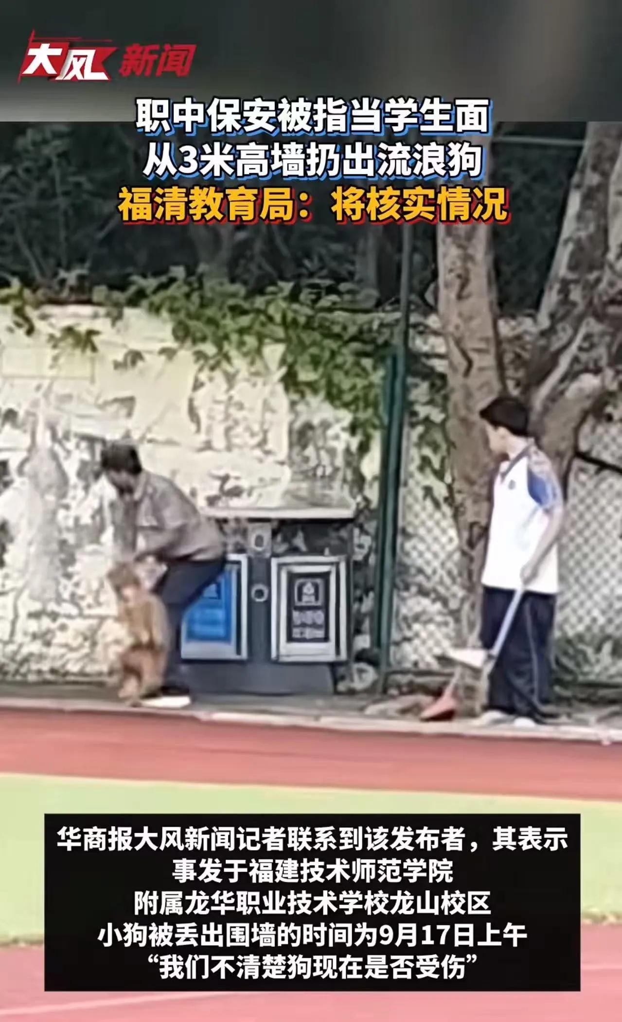 就在这场引发众怒的事件背后，我们看到的，或许不仅仅是一只流浪狗的遭遇，更是一面折
