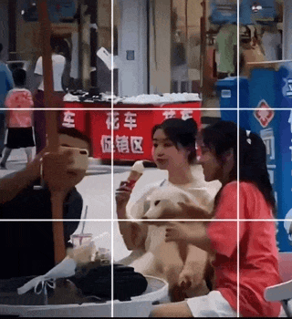 双重打击！你们跟狗是一伙的吧？