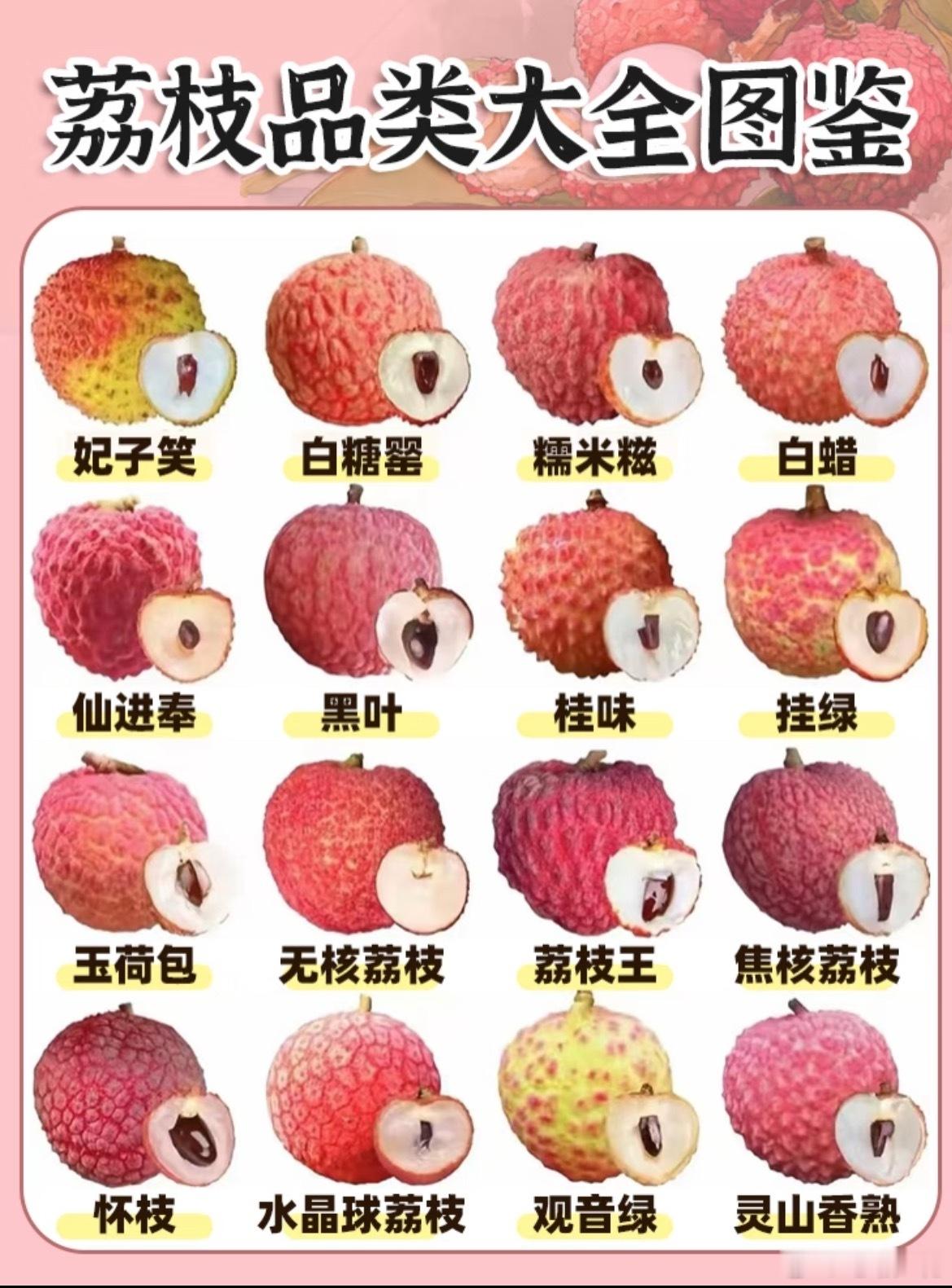 最近在我日啖荔枝三百颗的不懈努力下终于分得清妃子笑和桂味了有没有大师分得出这些品