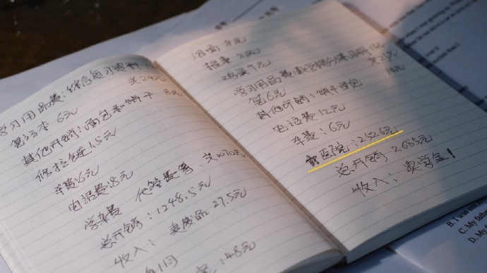 张婧仪野狗骨头点燃我温暖你旁白苗靖的记账本苗靖的记账本，张婧仪野狗骨头点燃我温
