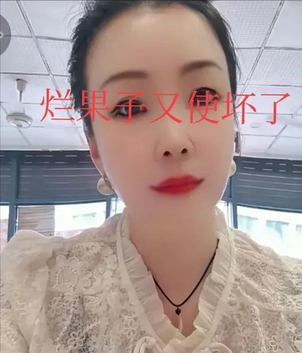 烂果子又出手了，无所不用其极。许敏拒绝了明天的会议，随后昌平法院附近的派