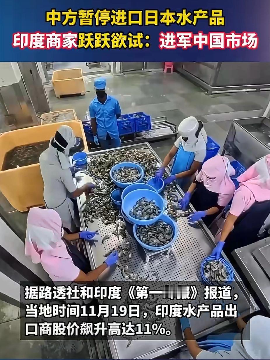 印度虾“杀疯了”！暂停日本水产进口后，中国餐桌秒变海鲜联合国