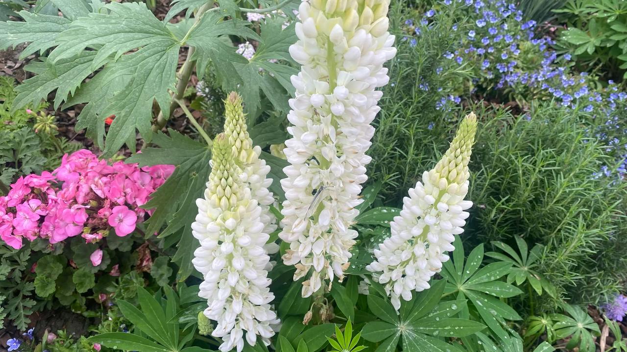 老年才懂：善良的人，一旦转身，就再也不会回头人越到老了，心里越透亮。活了大