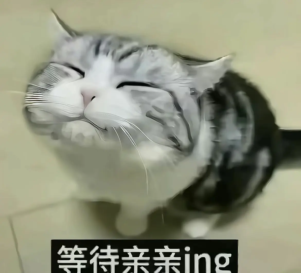 等待亲亲💋