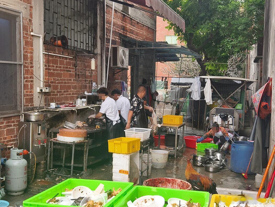 建议全国鸡煲店普及候鸡亭候鸡亭成莫氏鸡煲新打卡点谁懂啊，在莫氏鸡煲门口排了一个
