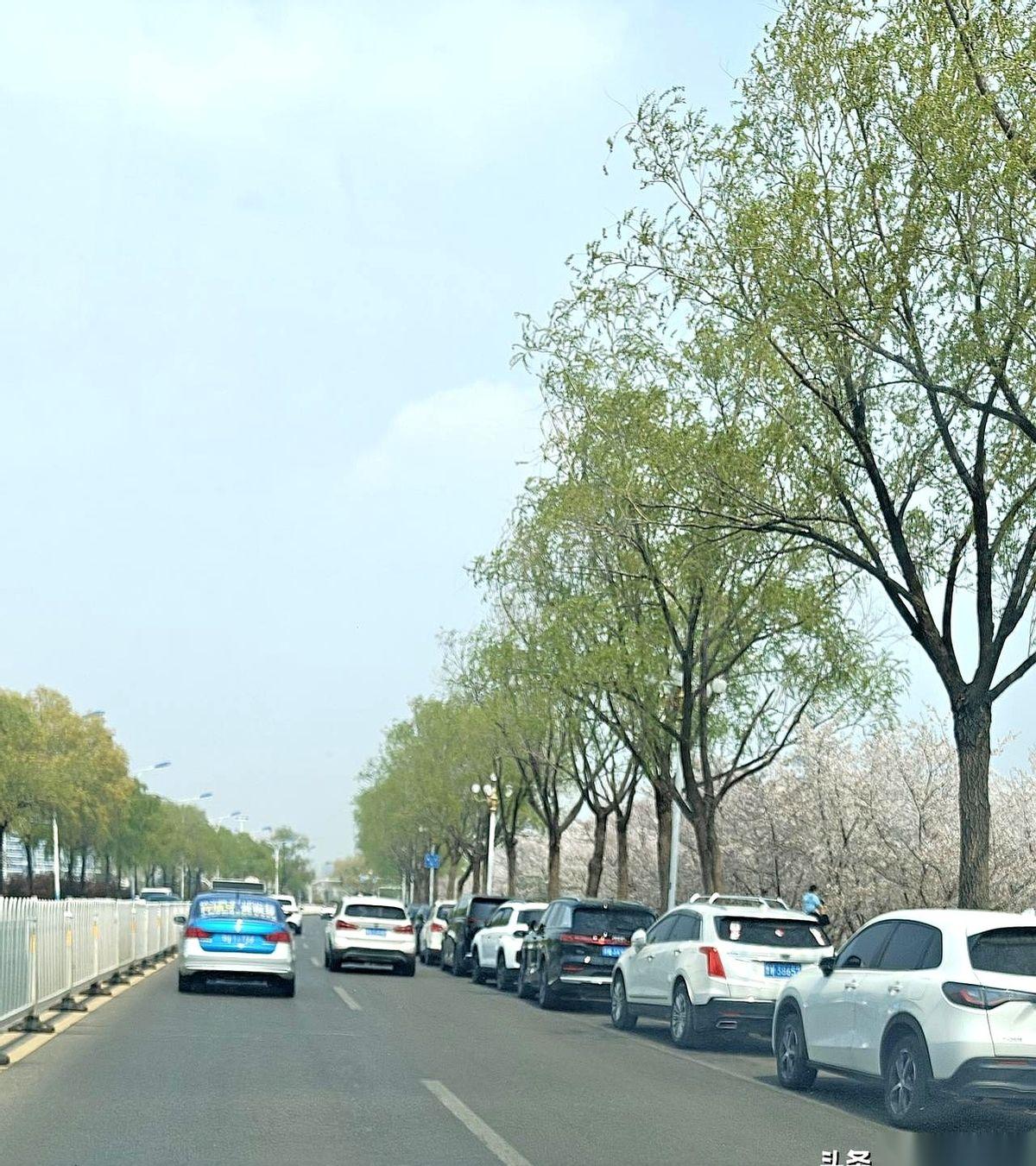 一脚刹车，停在沂河边。车窗摇下来，外面不是风，是人。乌泱乌泱的，南京路往北，路