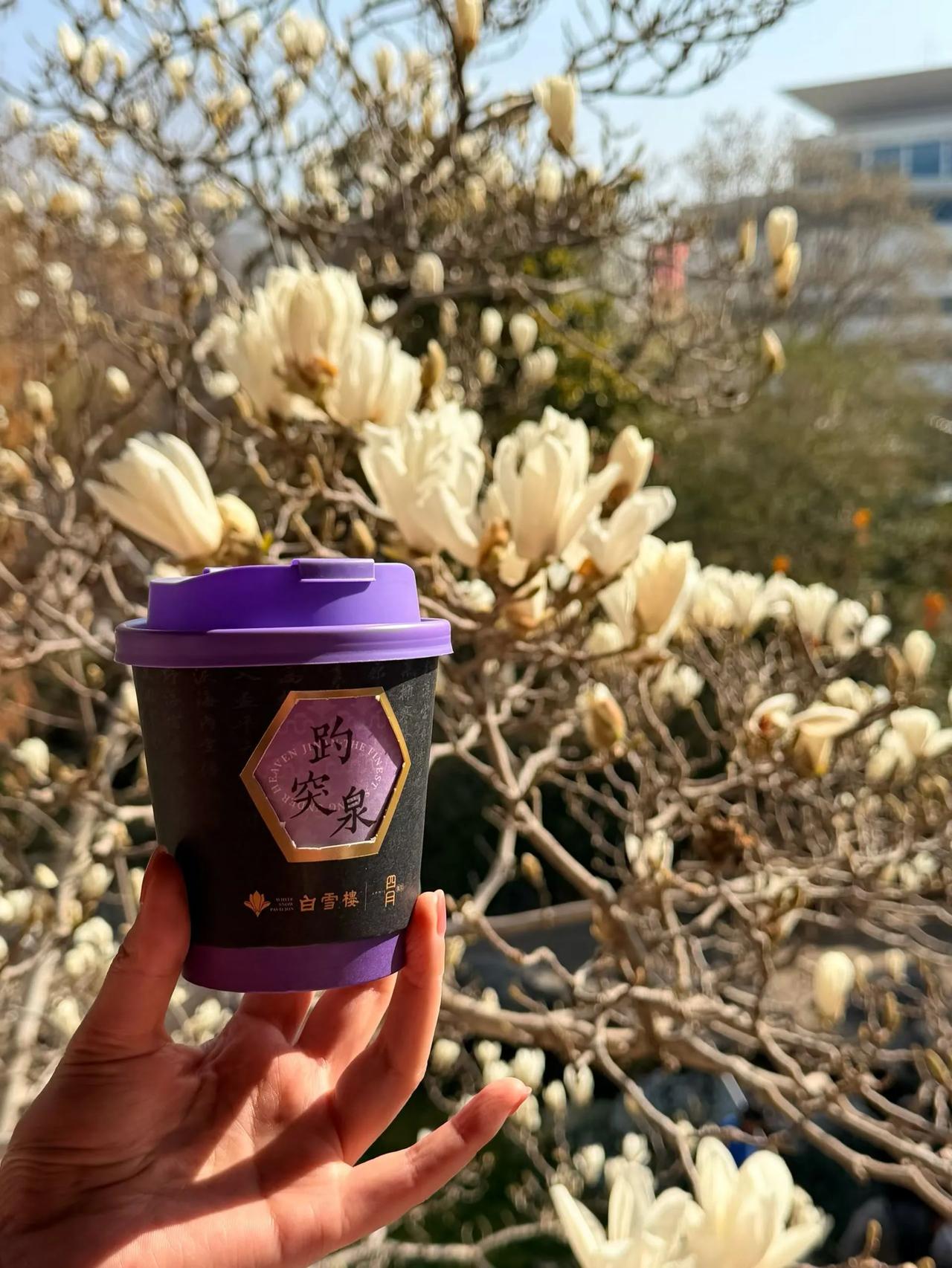 天南地北大拜年