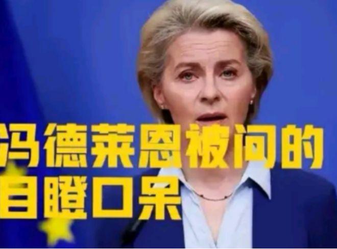 冯德莱恩刚刚在台上宣布“永久停购俄罗斯油气”，话音未落，芬兰代表立刻抛出一个让整