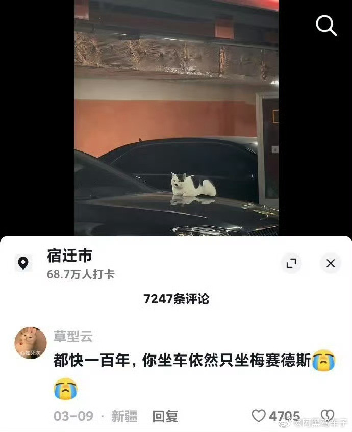 我的右手突然就不受控制地抬了起来