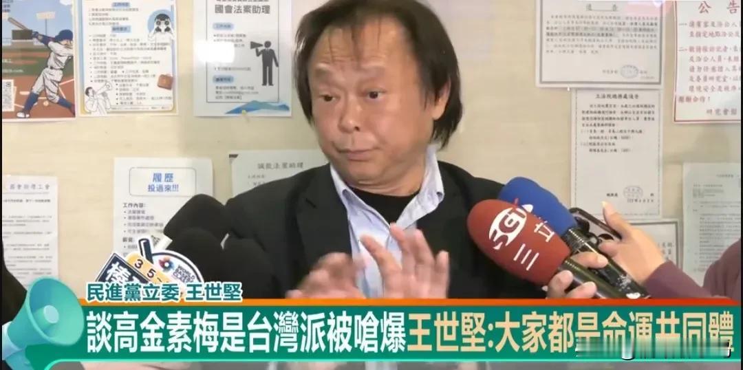 会的词还真不少！因称高金素梅是“台湾派”被绿营围攻王世坚：大家都是命运共同体！