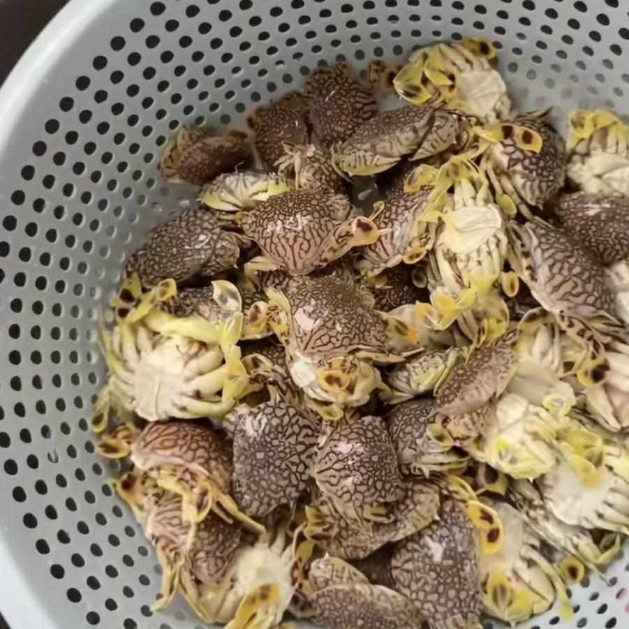 这两天满网都是说要吃今年第一口梭子蟹的，作为南通人，尖子蟹（梭子蟹）是一年四季餐