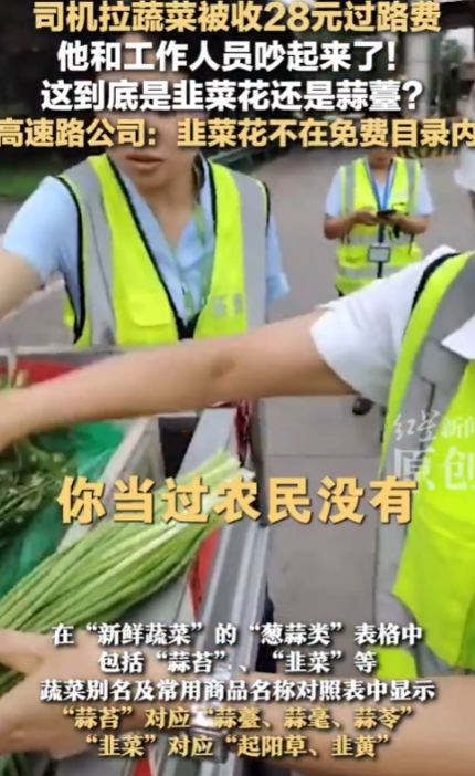“闹大了！”四川货车司机拉着一车蒜苔过高速收费站，想走绿色通道。不料被收费员拦住