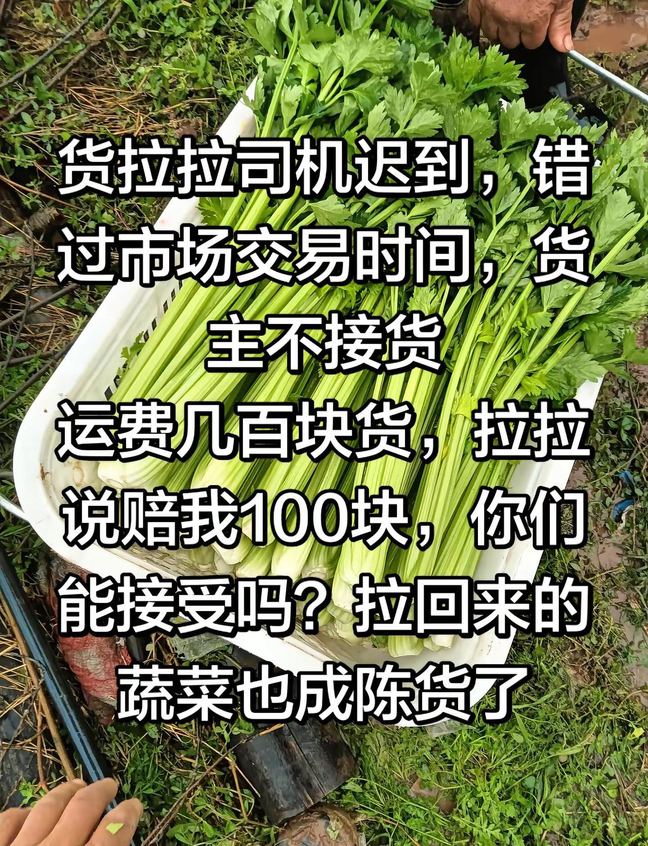 货拉拉司机货拉拉维权货拉拉迟到