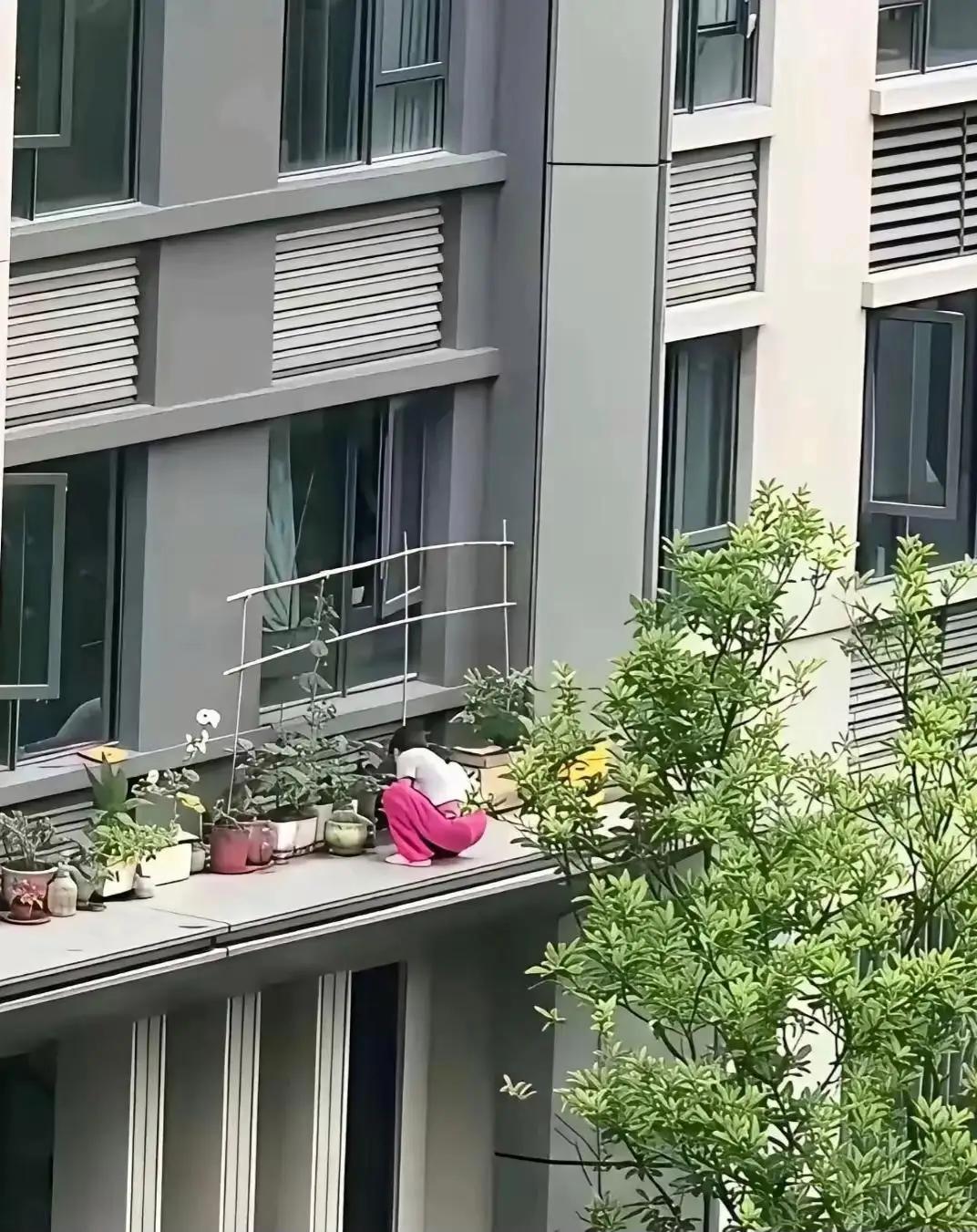 业主的胆子是真的大，心也是真的大，不知道家里有没有小孩，这要是不小心掉下去了，会