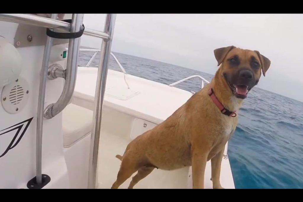 12445710708690405735.jpg?id=0