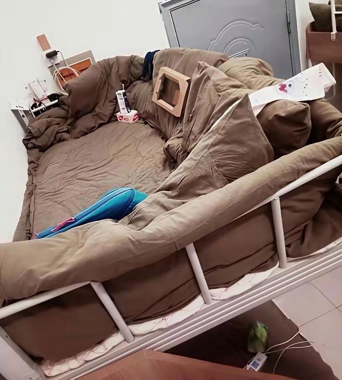 大学的生活真的是太美好了