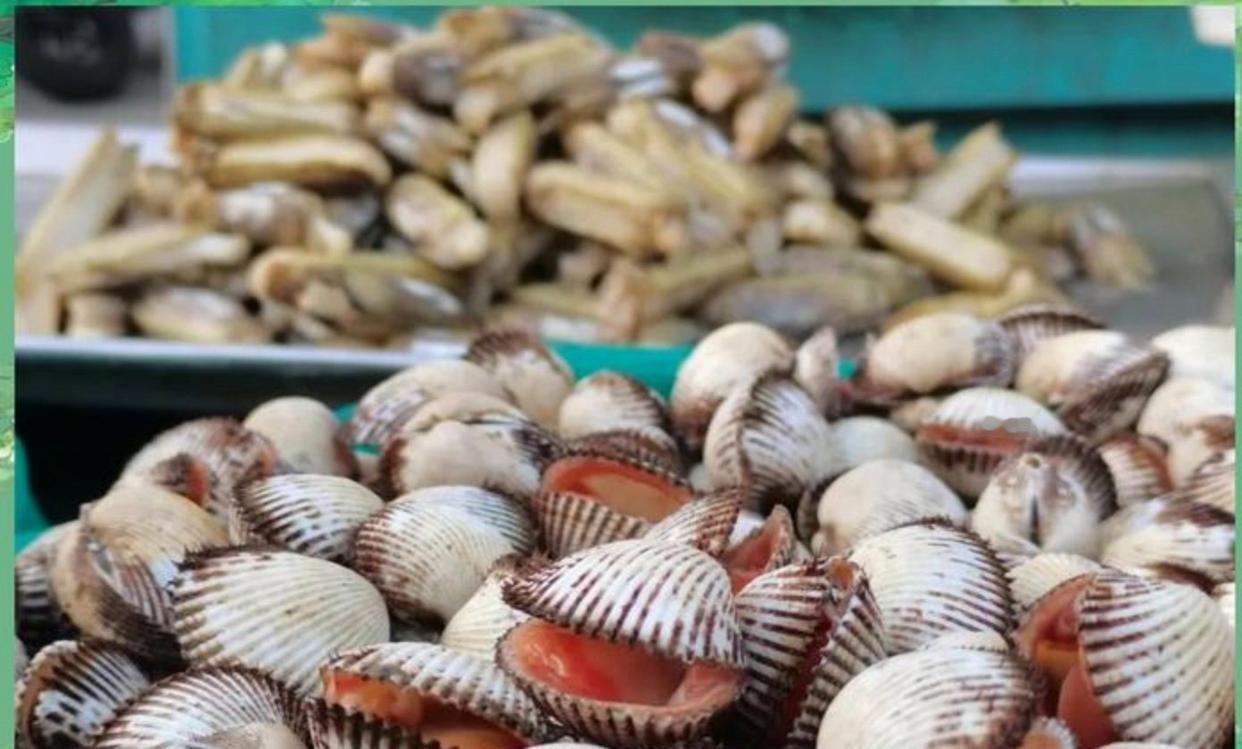 青岛李沧区东山民生市场惊现“挖蛤蜊神摊”！15元一斤肥美爆汁，我却犹豫三分钟怕满