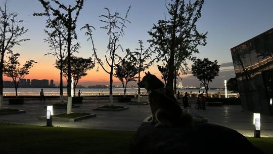 是夕阳