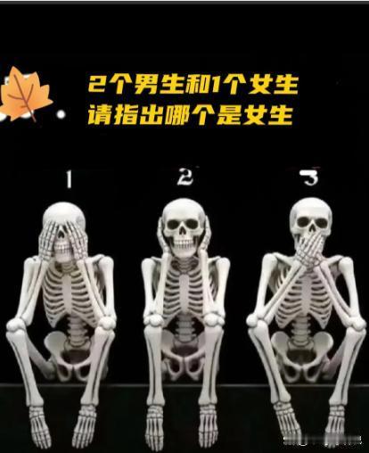 你们能看出来吗？其实看盆底肌那里就能分辨出来了！