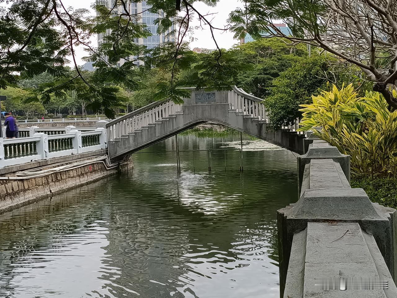 不是好奇，哪来的这番有趣又难忘的经历呢，看来还是得有点好奇心才好呀[赞][赞][