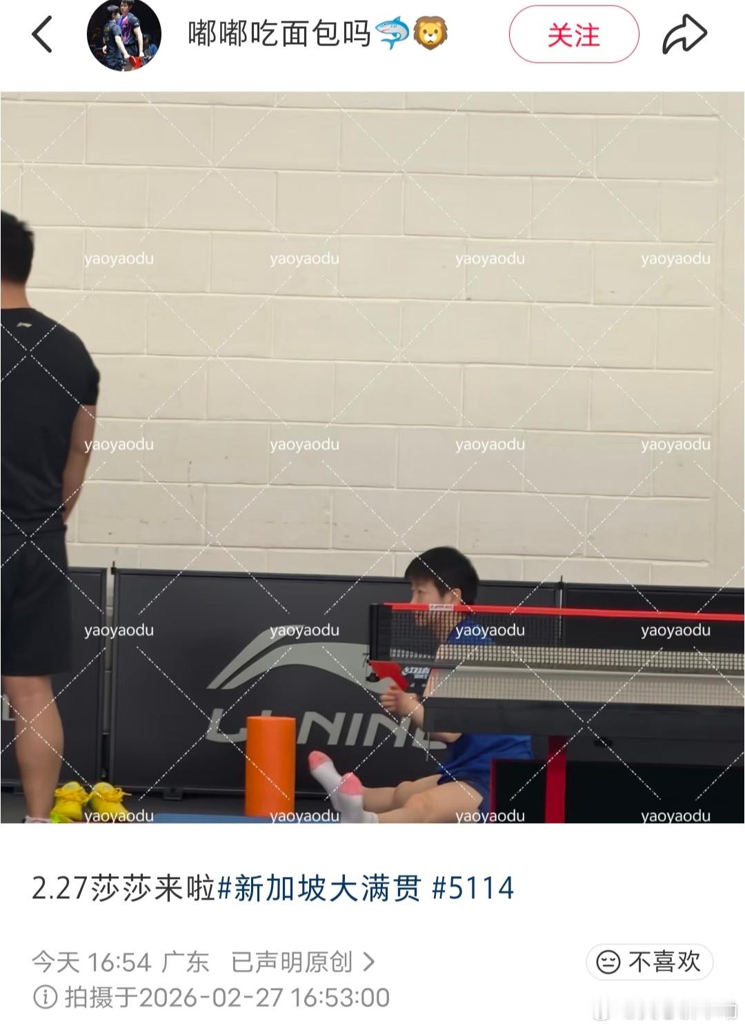 啊啊啊啊啊啊啊莎莎也太可爱了，想直接端走