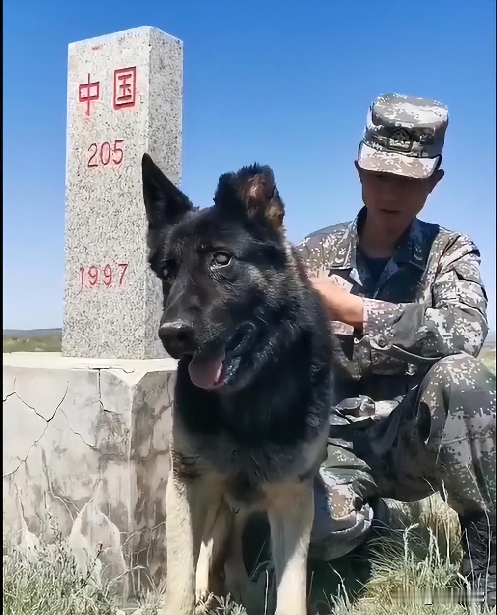 狗是人类的朋友，全世界人都知道，你却装作不知道？亲人小狗“狗是人类的朋友”