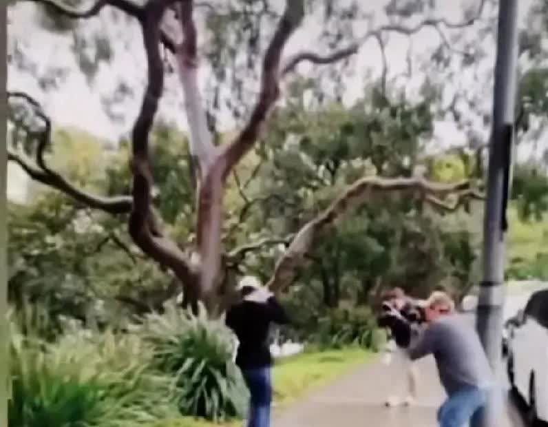 真被网友猜中了，又一个让网友热议的话题出现了，澳洲年轻劳斯莱斯女