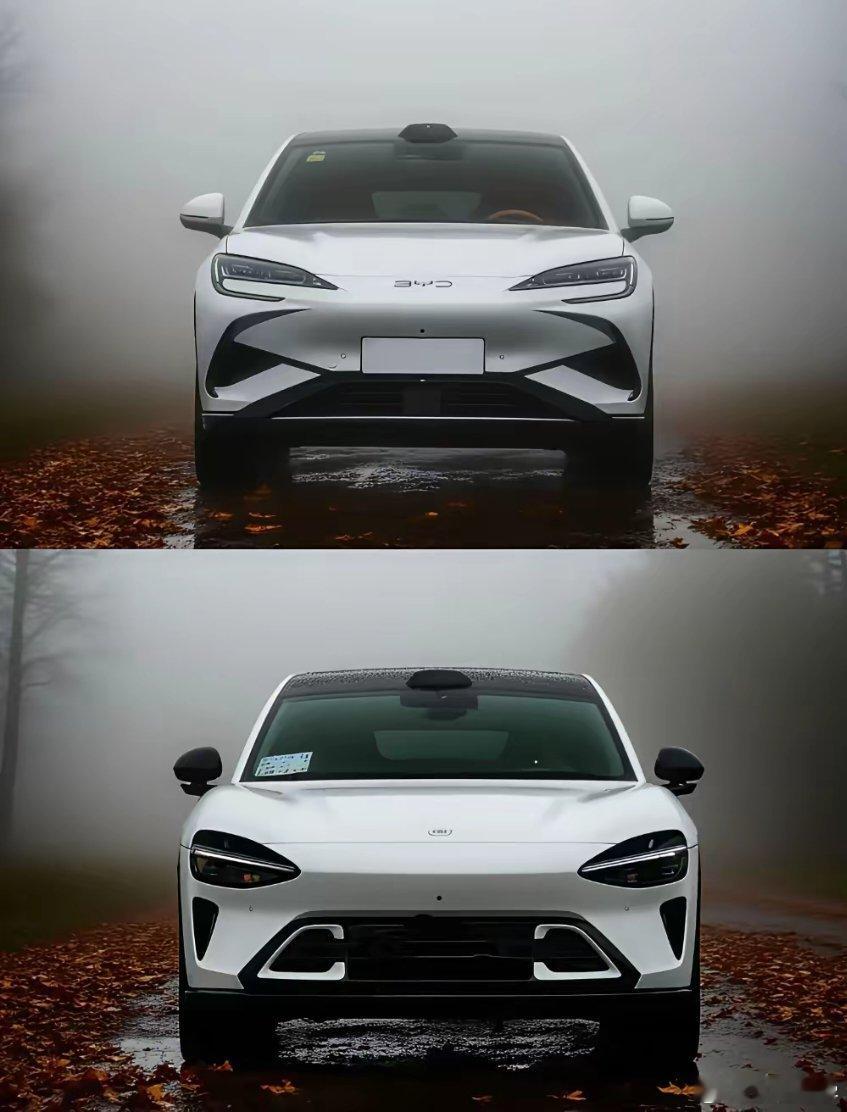 小米yu7对比海狮07，借用赵长江的话，ybyl！！怎么就知道级别了，小米YU7