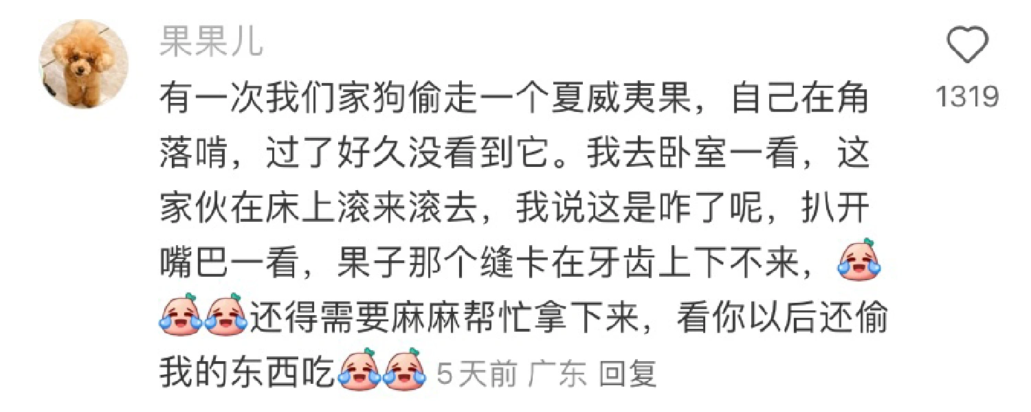 现在的狗狗都这么会演吗