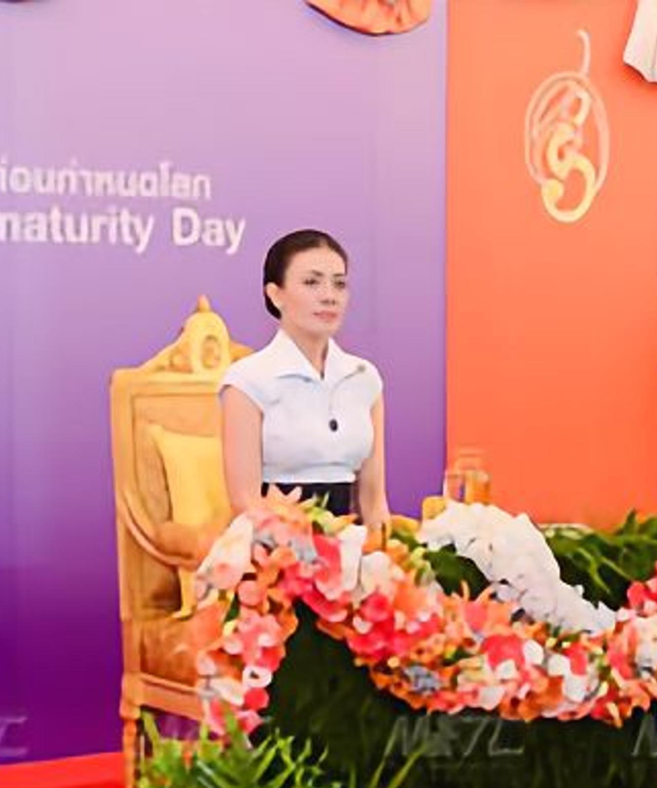 西拉米是最美王妃，渣像素都难掩盛世美颜2014年11月20日上午10时30分，