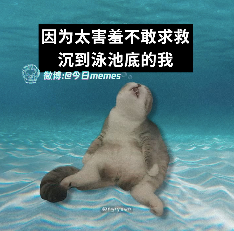 拿我打窝（9gag）今日meme今日memes