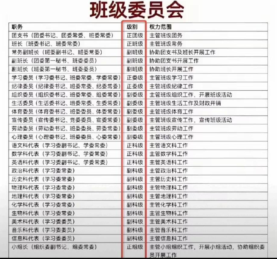 学校年级班委会也有级别