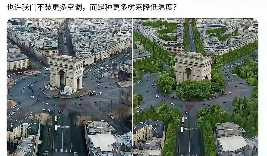 法国网友：种树既可以降温，又可以不用装空调！真不敢想象一眼望去一棵树都没有，连树