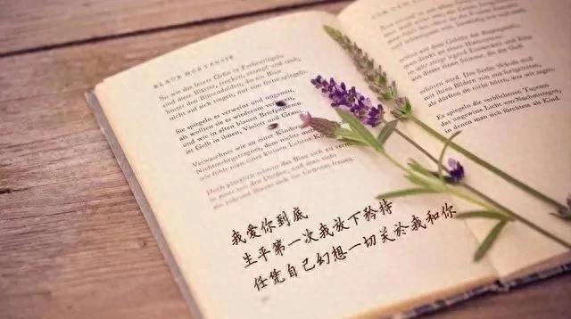 深度解析2025：哪些生肖在新一年开启运势上升通道在这年里，他们在事业、感情