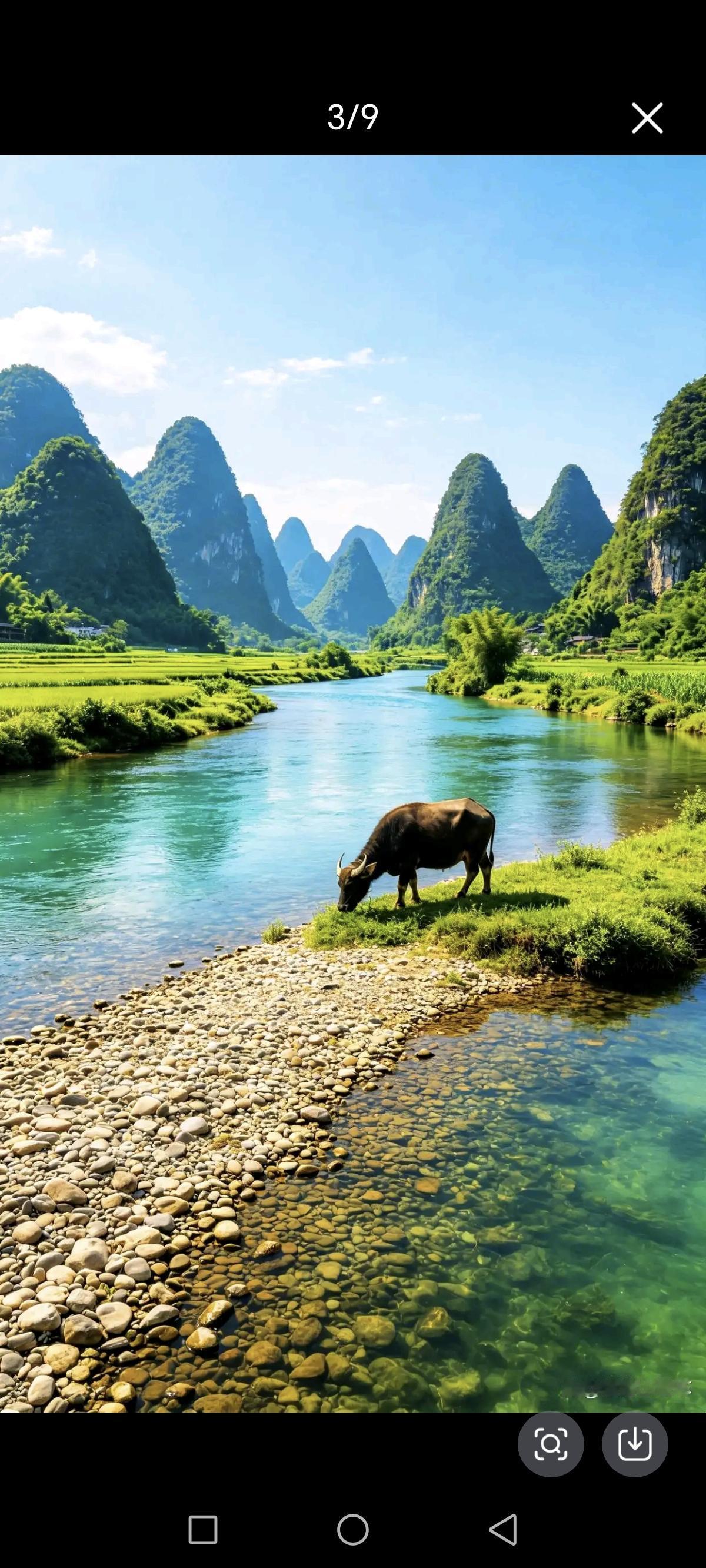 老牛低头在吃草，唯一愿望是吃饱。至于山水美不美，…………………………请你