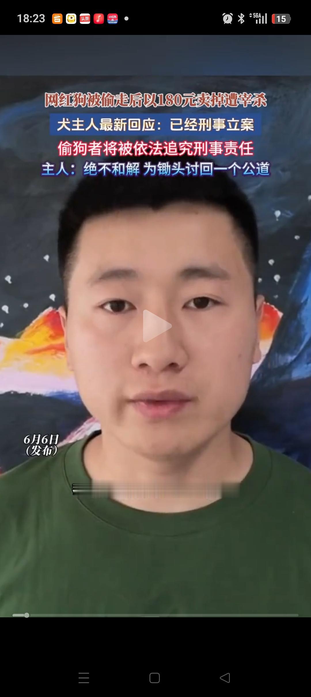 随着帽子叔叔对网红边牧“锄头”的事正式立案，顺走狗狗的那对男女可能要面临3个窘境