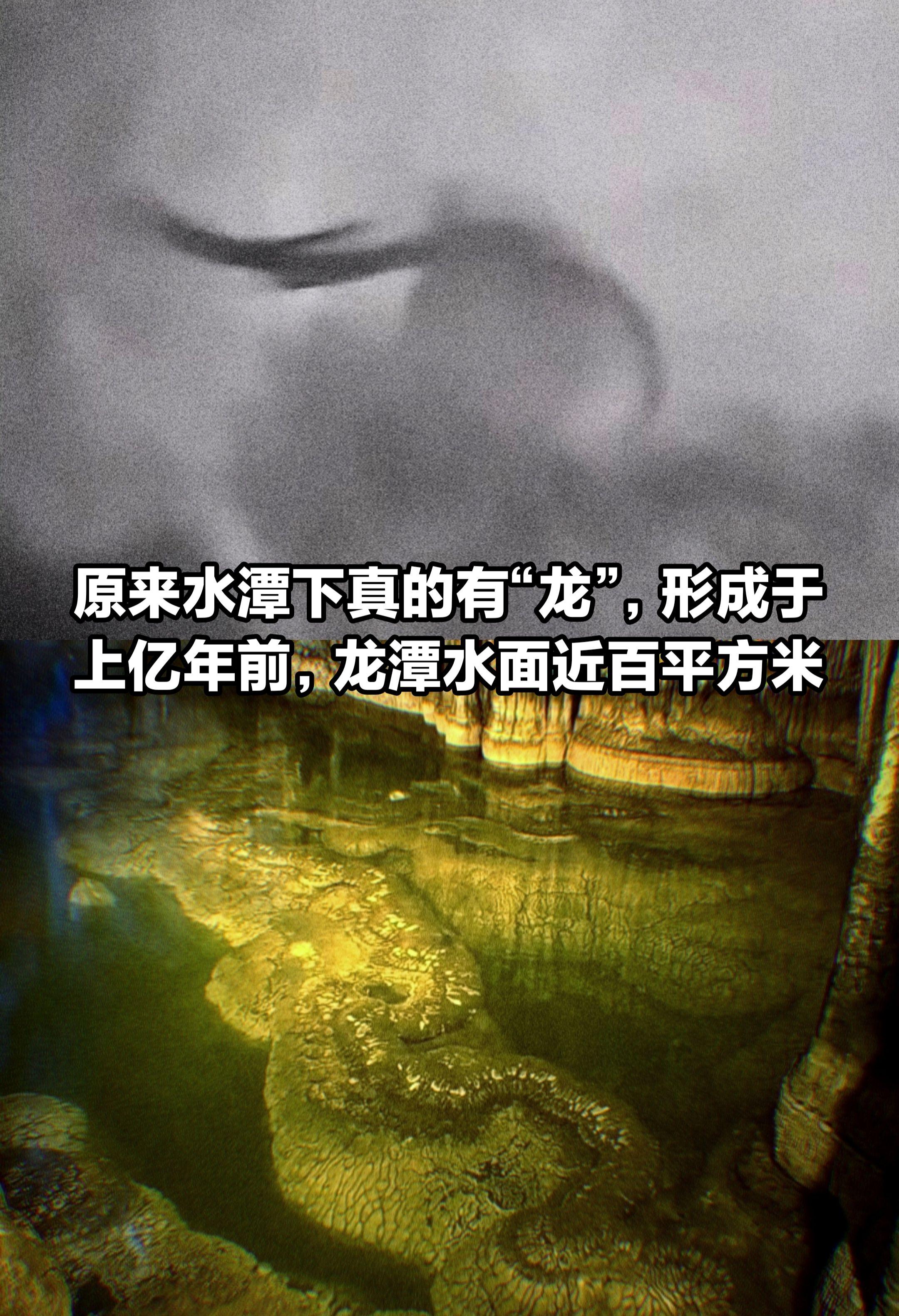 原来水潭下，真的有“龙”