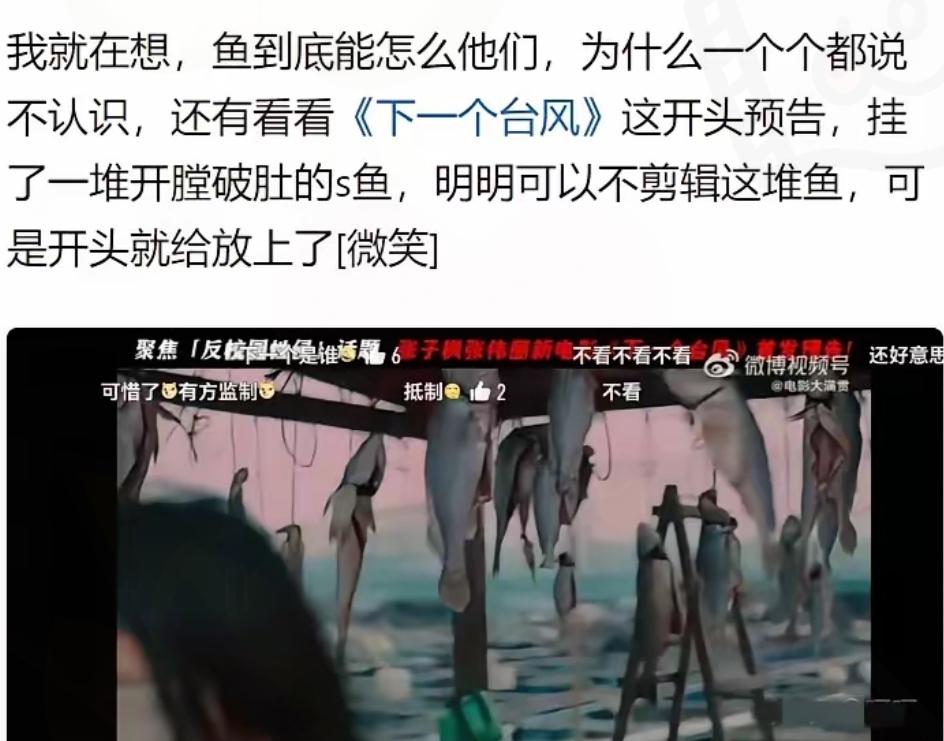 别骂方励“爱杀鱼”了！《下一个台风》的死鱼，藏着最狠的真相《下一个台风》预
