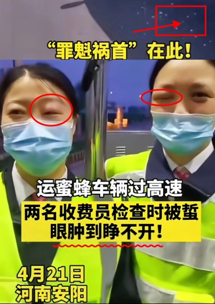 笑不活了！高速收费员让蜂农卸下蜂箱检查，蜂农表示蜂箱里有蜜蜂，实在不能打开。