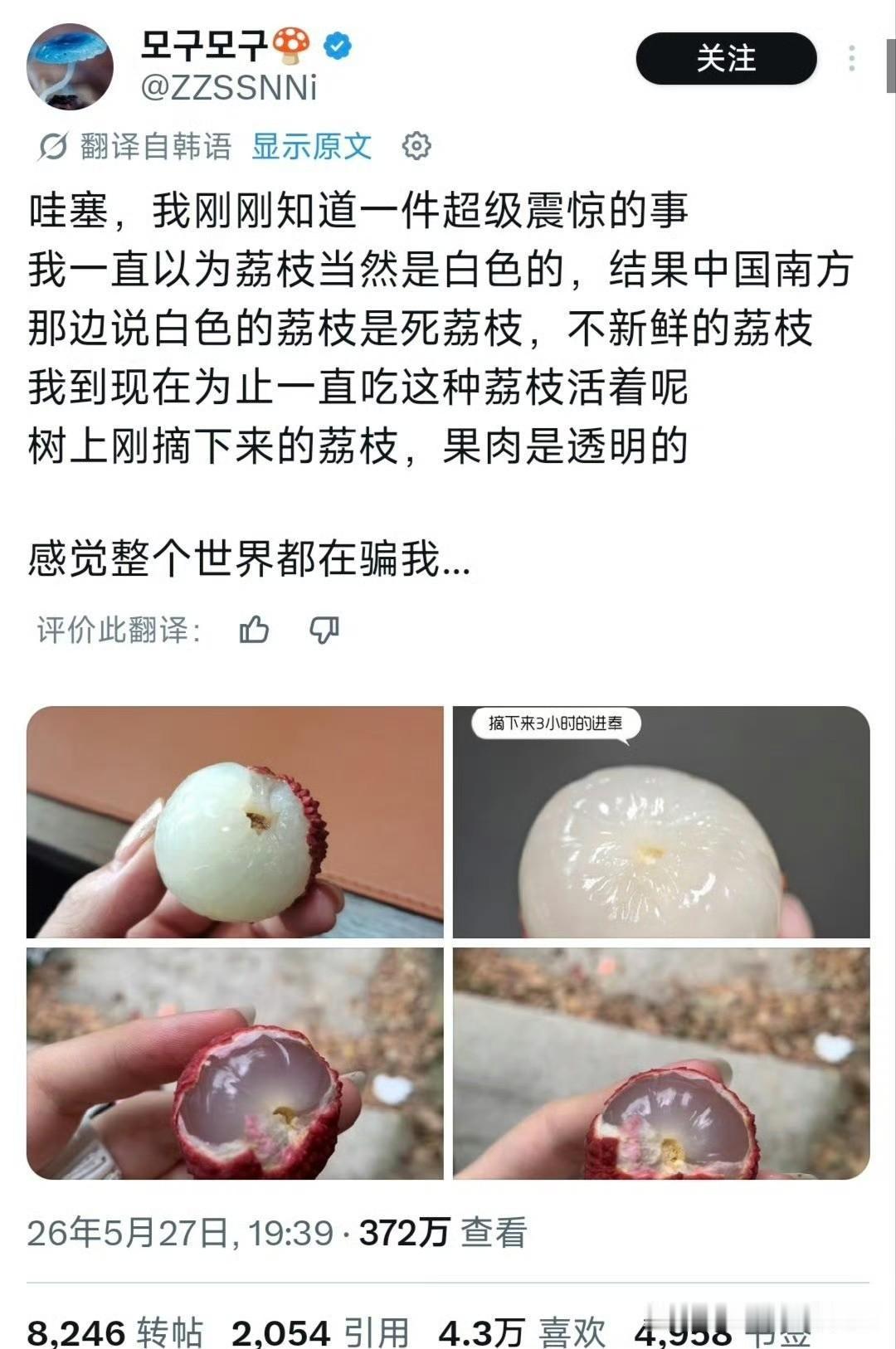 韩网上这几天议论最多的是荔枝这个水果（继西瓜之后荔枝又成了韩国热门奢侈品水果），