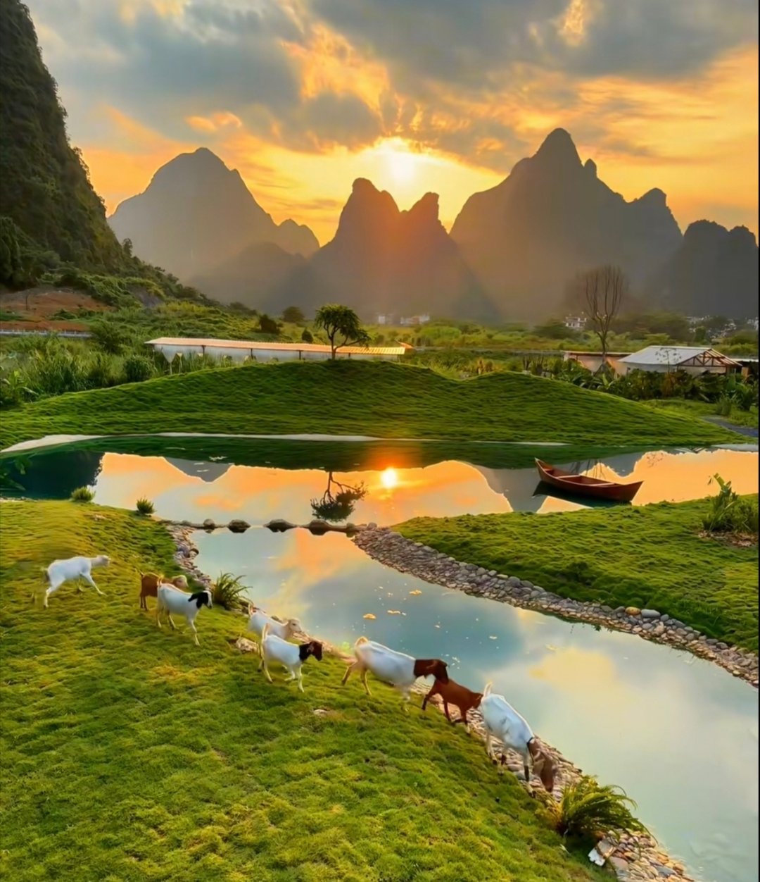 早安生活手记夏去秋来岁序更，浓阴深处听蝉鸣，秋意已悄悄敲门。周四愉快，早安早安
