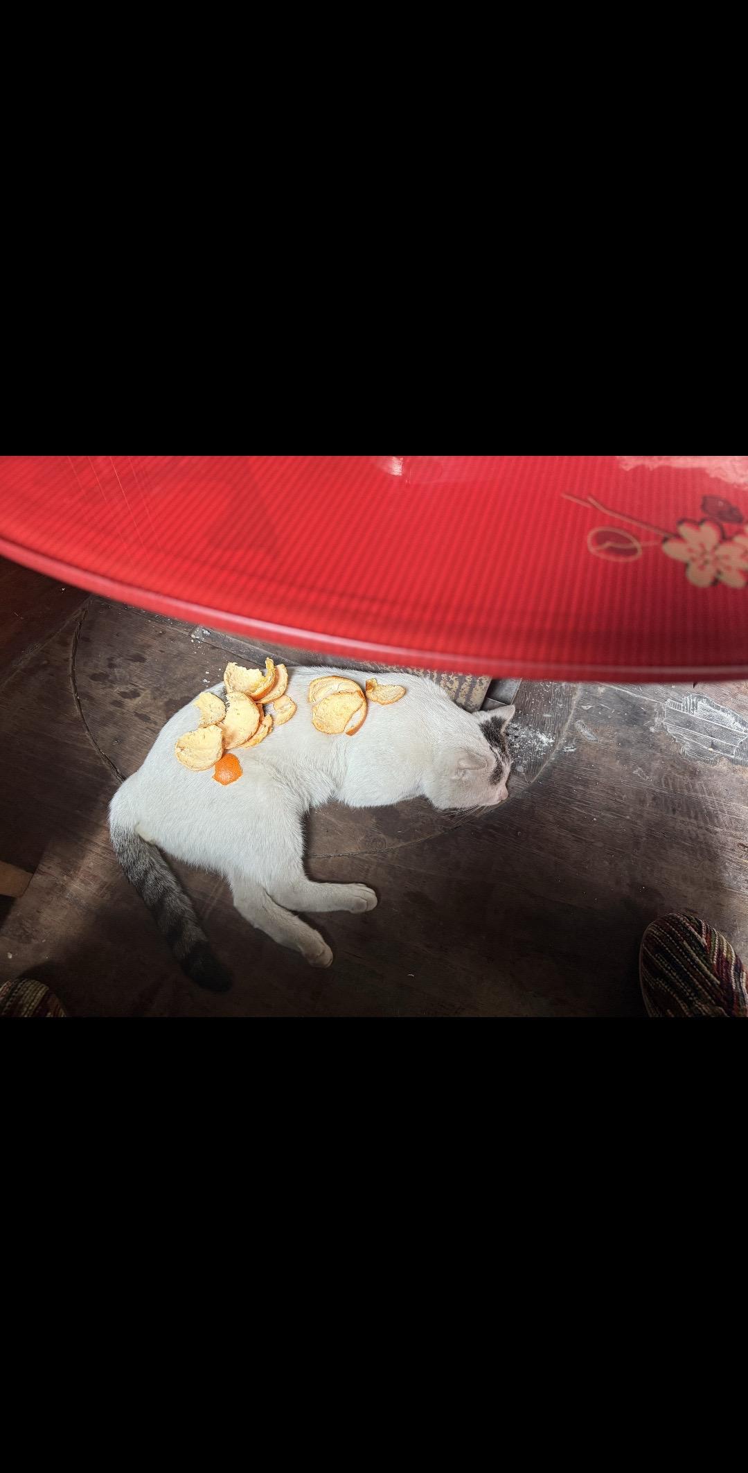 还好我马上30了