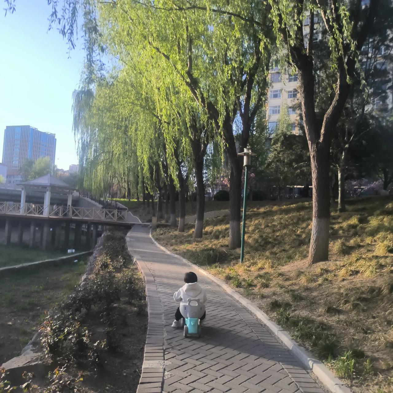 有一个婆婆说蛇年不好，是真的吗？今天晋城下雨了，说实话我很高兴，虽然以前不喜
