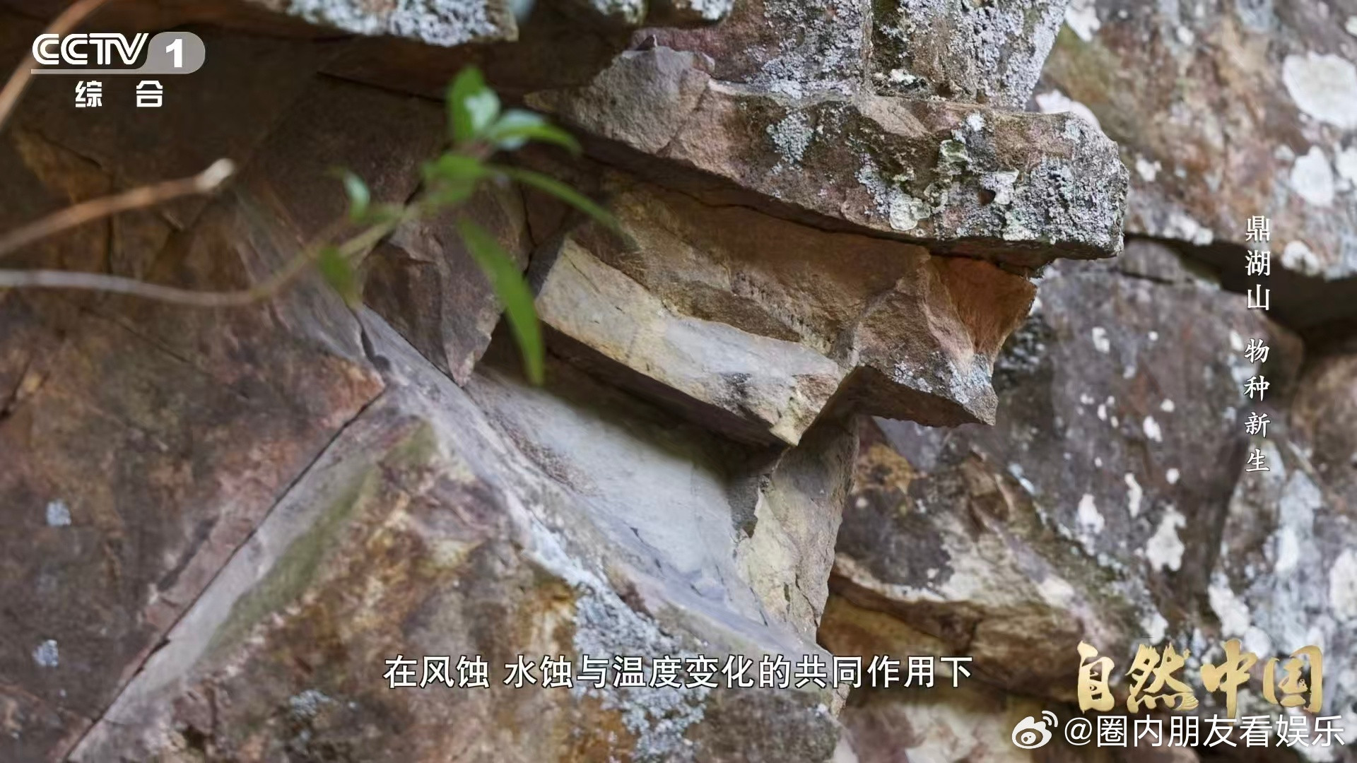 土壤的土腥味从何而来土壤形成过程超神奇！岩石经风水侵蚀与温度变化变成颗粒，再经生