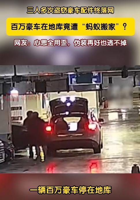 这胆子也太肥了！上海一女子出国前，把红色跑车停在地库，盖好车衣便放心离开。谁知百
