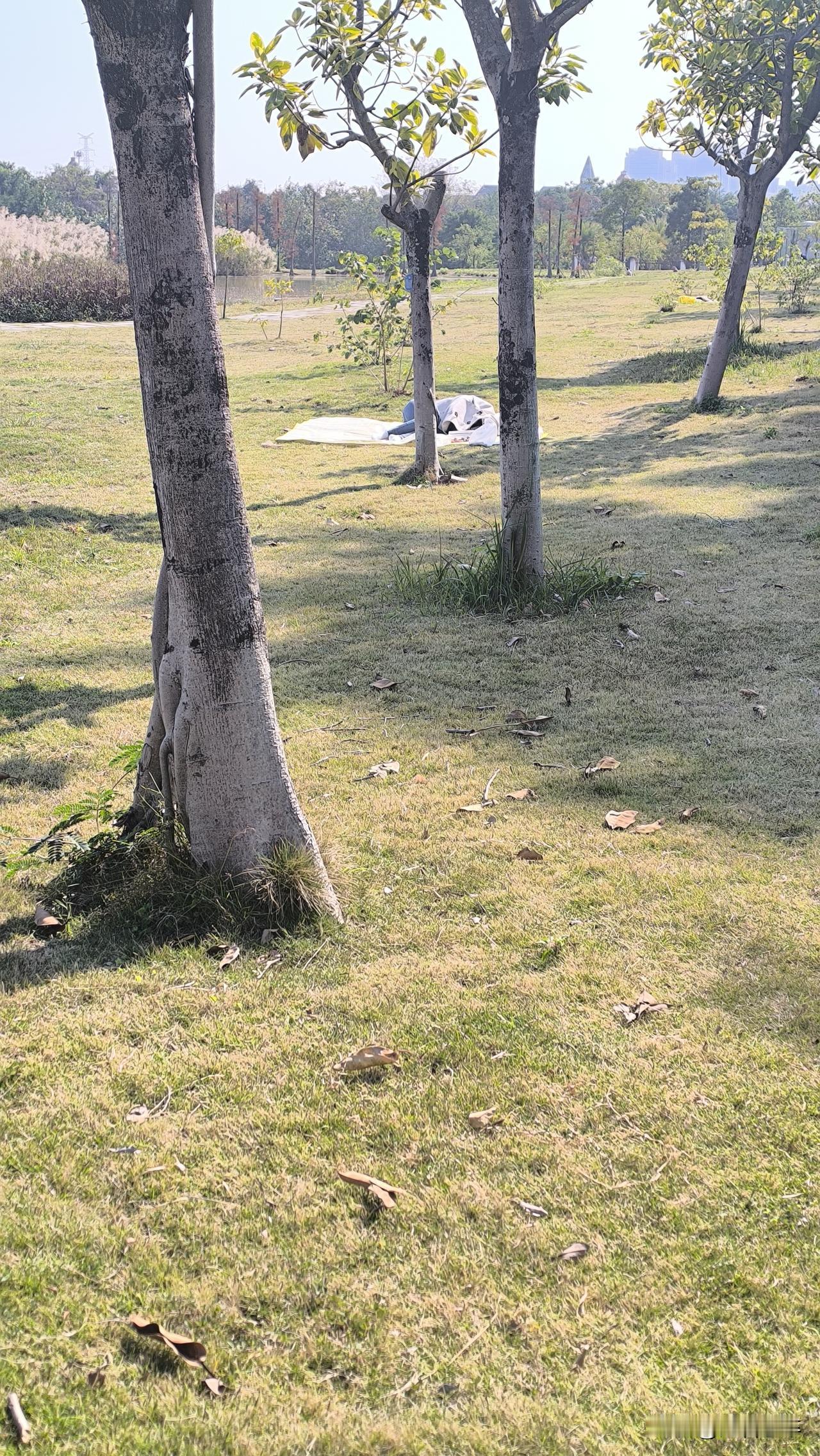 广西北海真的有网上说的这么好吗？这么多人去那边避寒旅居。在北海呆了这一段时间，