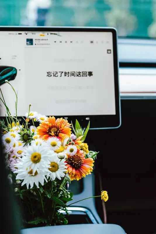 特斯拉春节OTA大更新！简直太让人惊喜啦！2026年2月6号，国内所有车型都