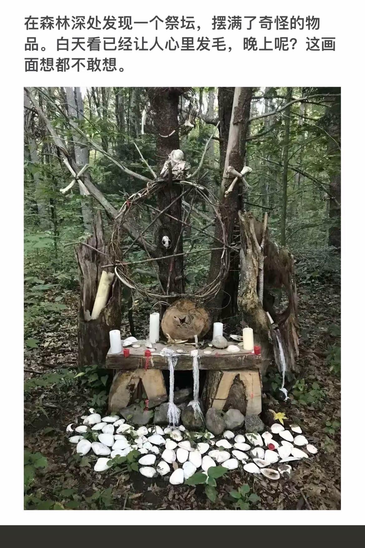 森林深处的神秘祭坛，白天让人毛骨悚然，晚上更是令人胆寒！