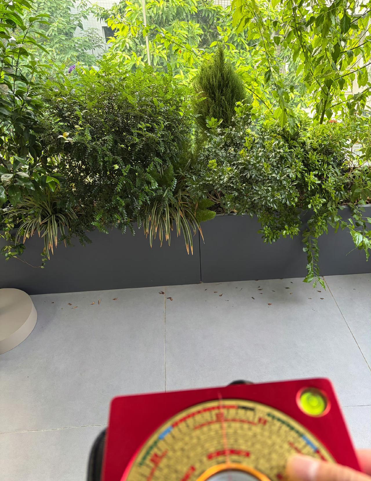 今日运势：丙午年丁酉月癸巳日2026.9.16日鼠：大吉财运旺盛牛：小